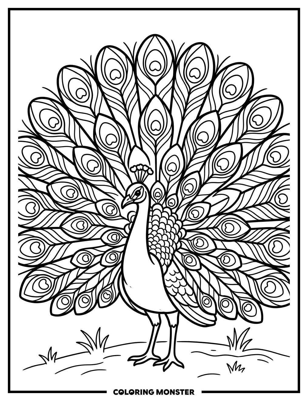Majestic Peacock Displaying Tail Coloring Page