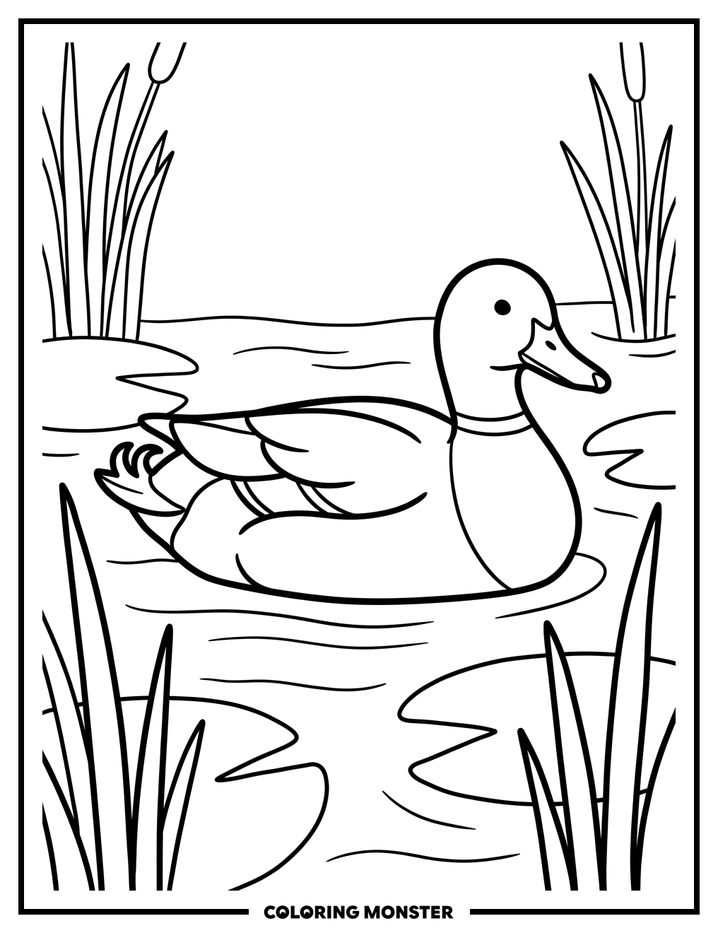 Mallard Duck on Calm Water Coloring Page