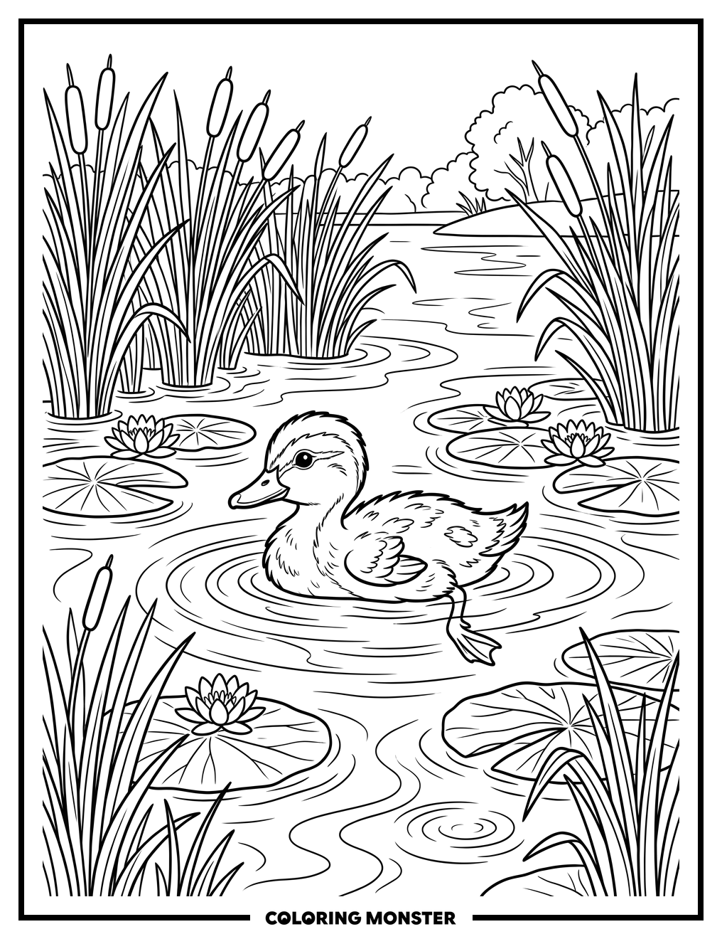 Mallard Duckling on a Calm Pond Coloring Page