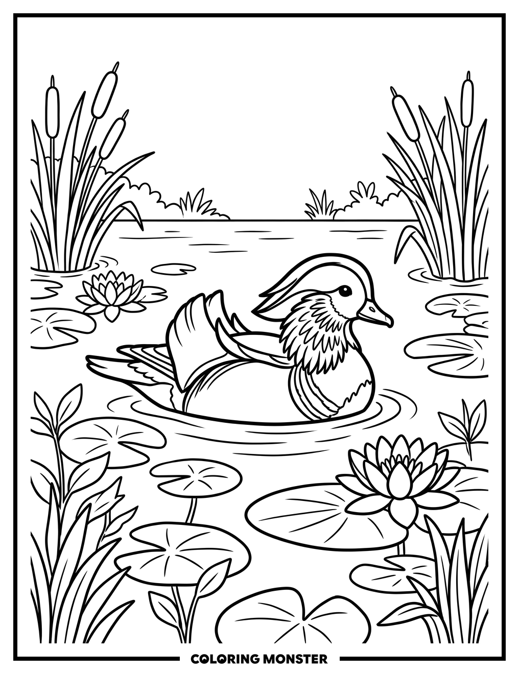 Mandarin Duck on a Pond Coloring Page