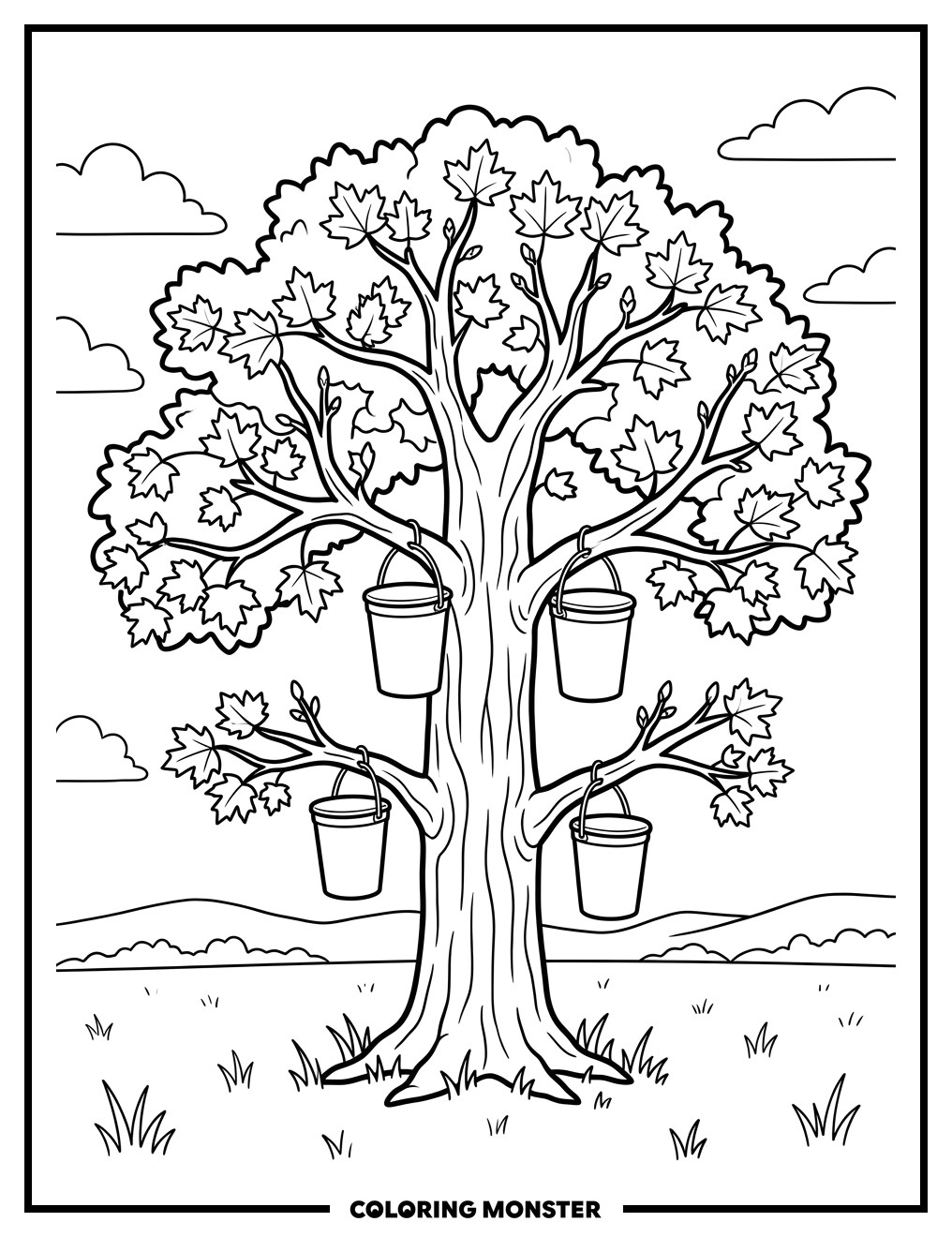 Maple Tree With Sap Buckets Coloring Page