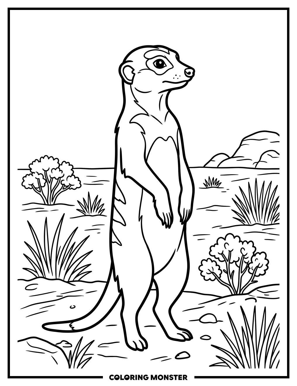 Meerkat Standing Tall Coloring Page