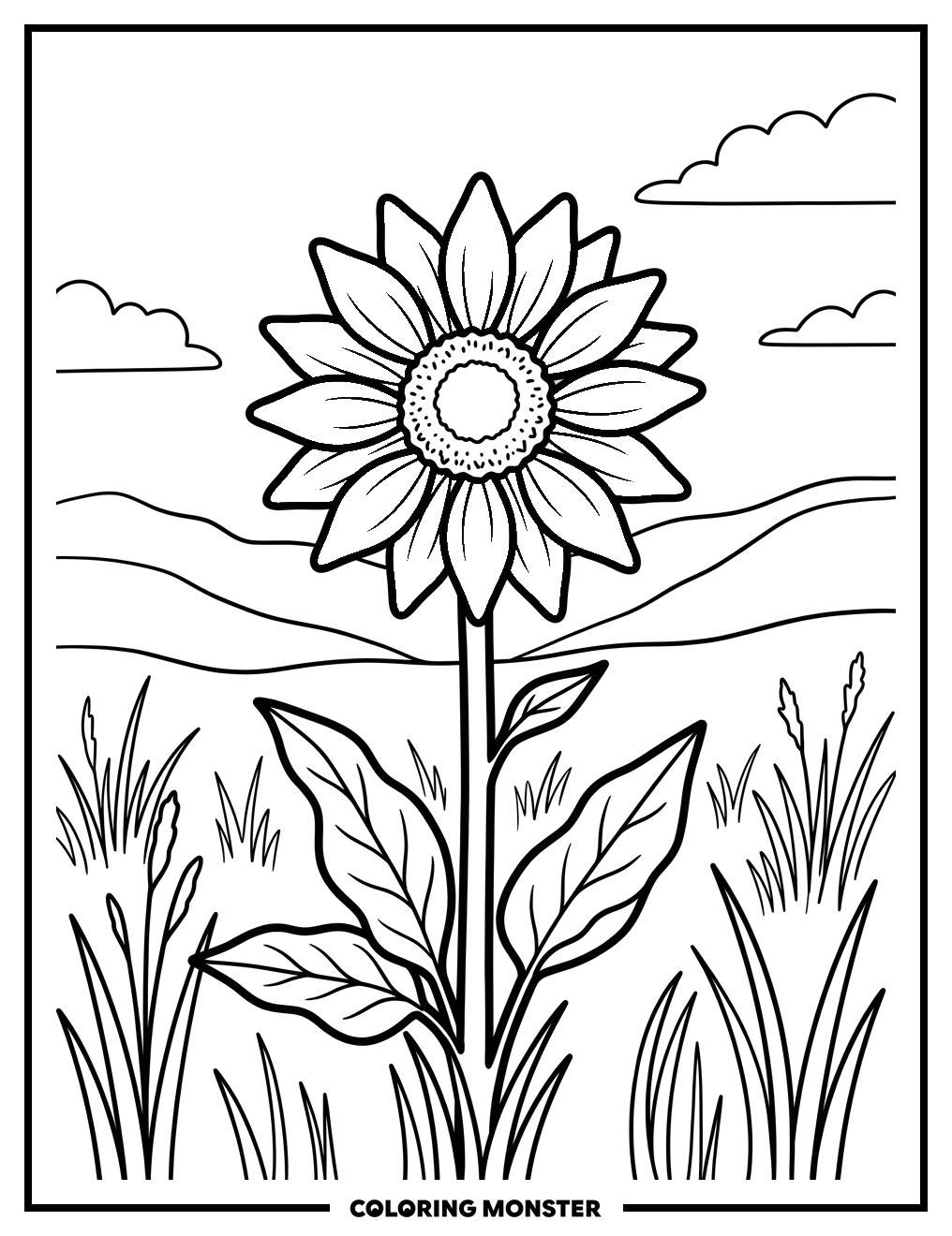 Montana Balsamroot Flower Coloring Page