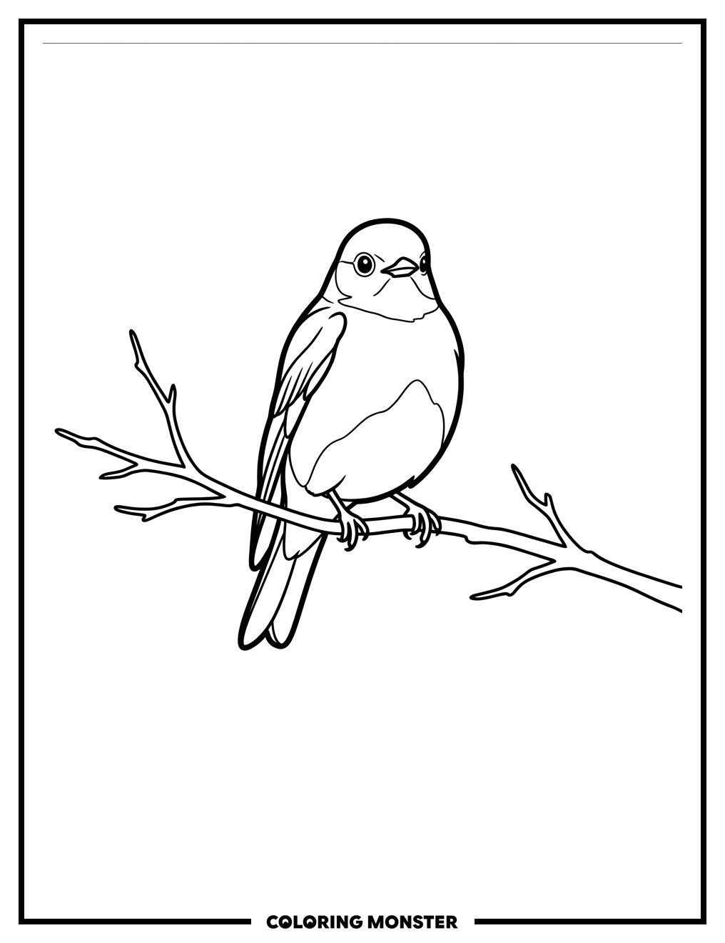 Mountain Bluebird on Branch Coloring Page