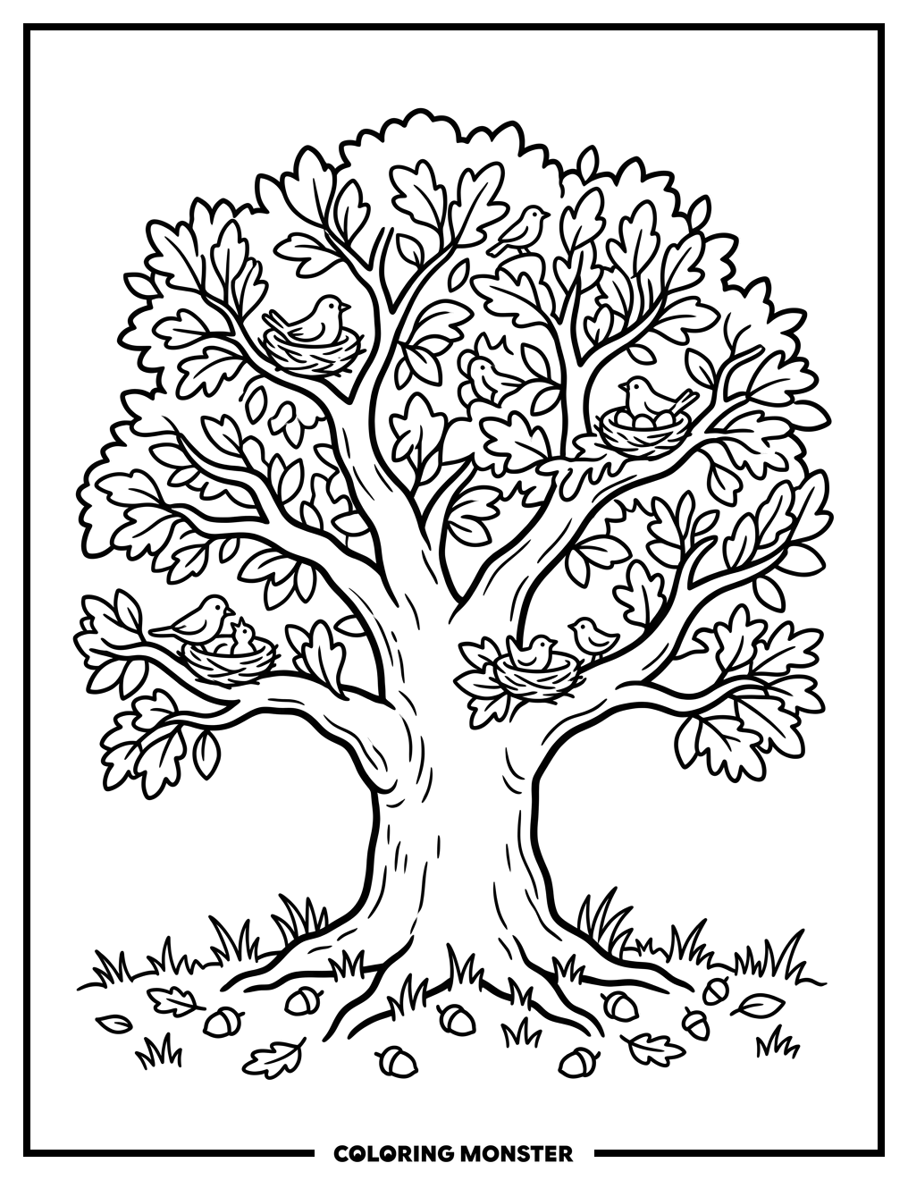 Oak Tree with Nests and Birds Coloring Page
