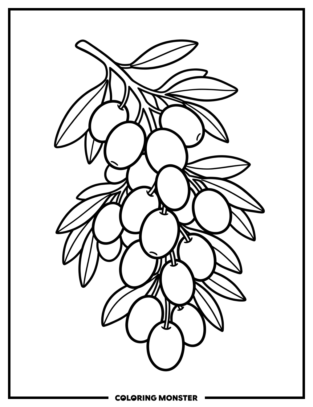 Olives on a Branch Coloring Page