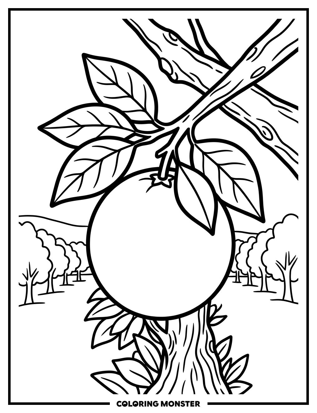 Orange Fruit on Tree Branch Coloring Page