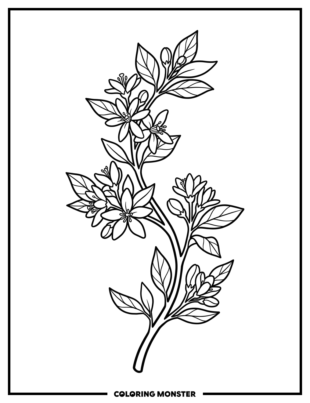 Orange Tree Branch With Blossoms Coloring Page