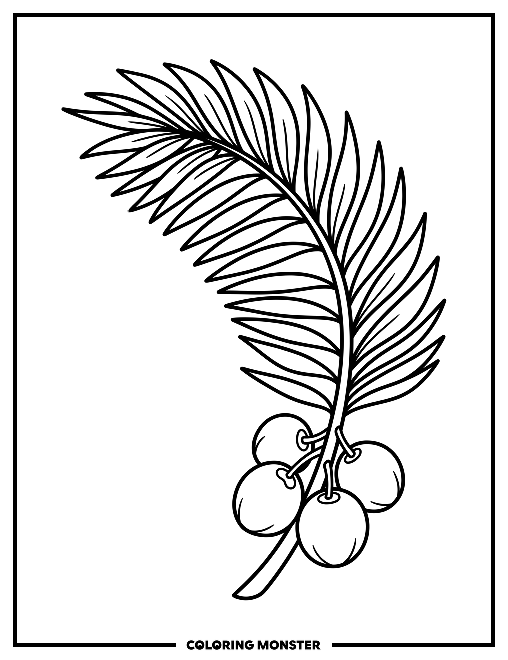 Palm Frond with Coconuts Coloring Page