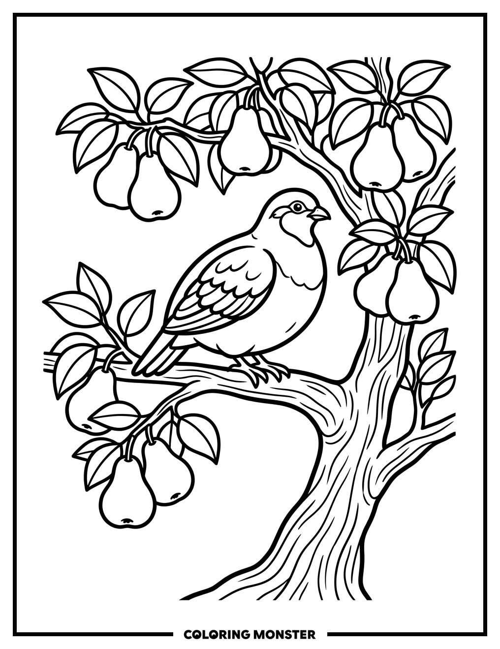Partridge in a Pear Tree Coloring Page