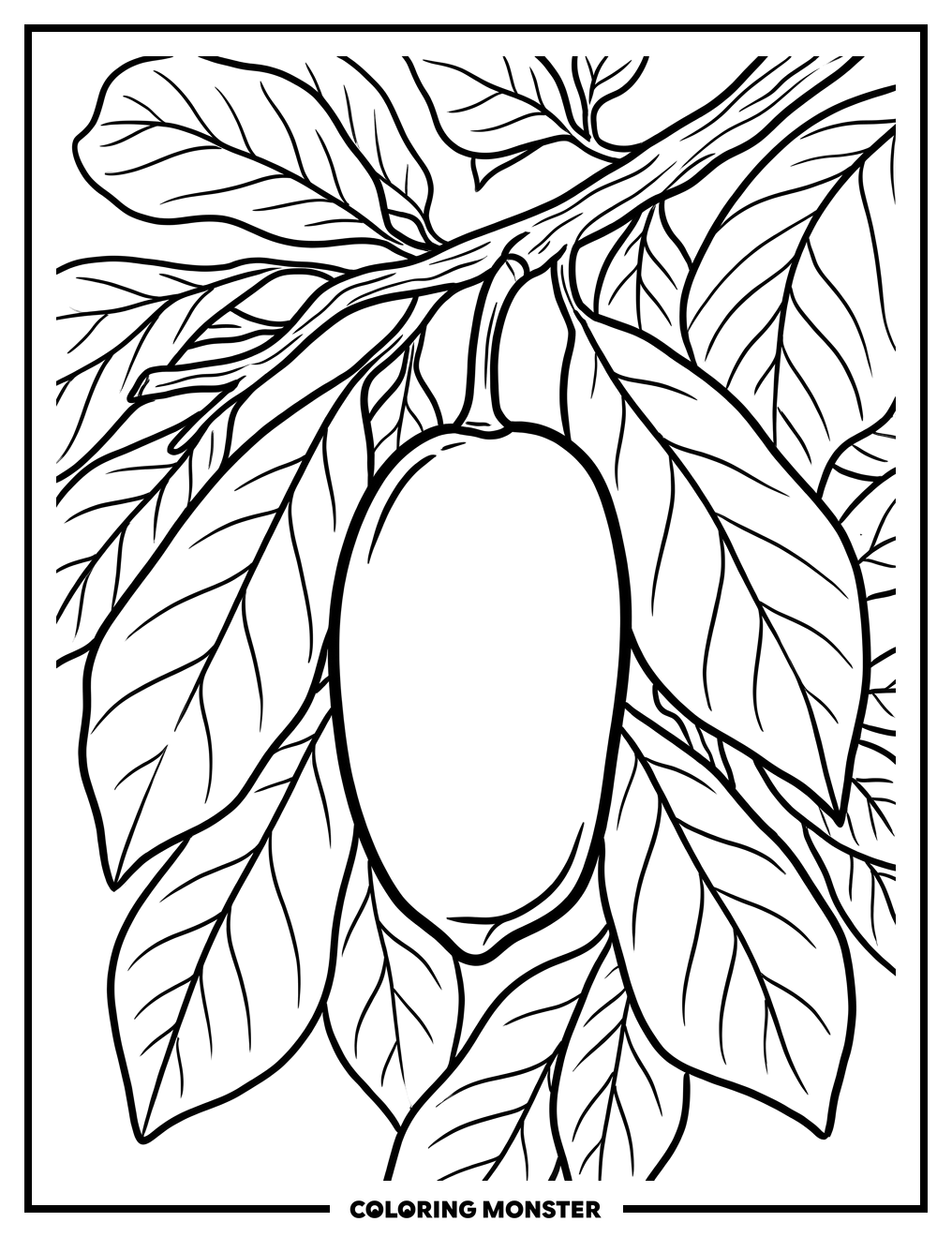 Pawpaw Fruit on Branch Coloring Page