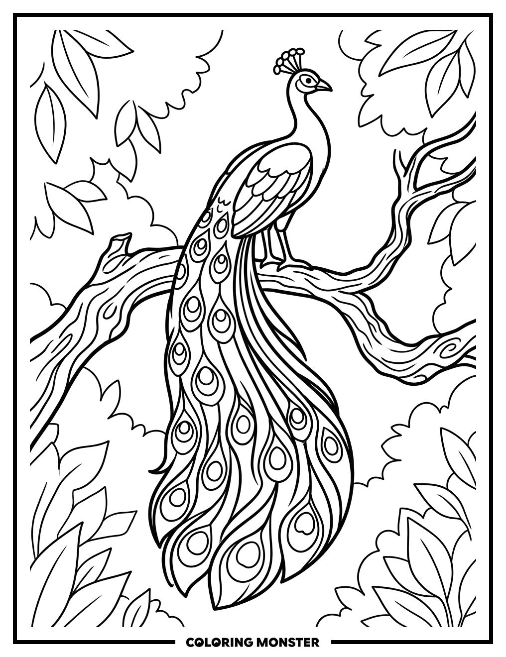 Peacock on Tree Branch Coloring Page