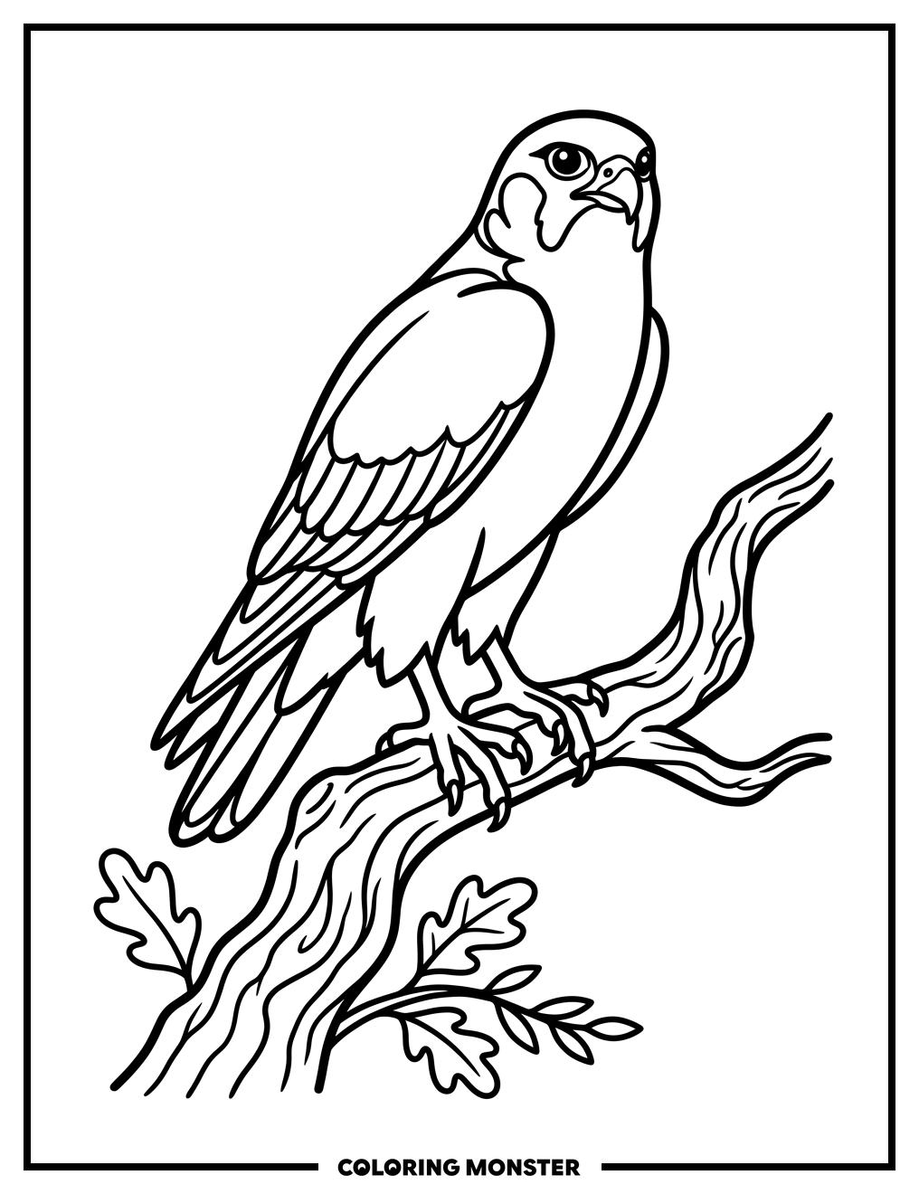 Peregrine Falcon on Branch Coloring Page
