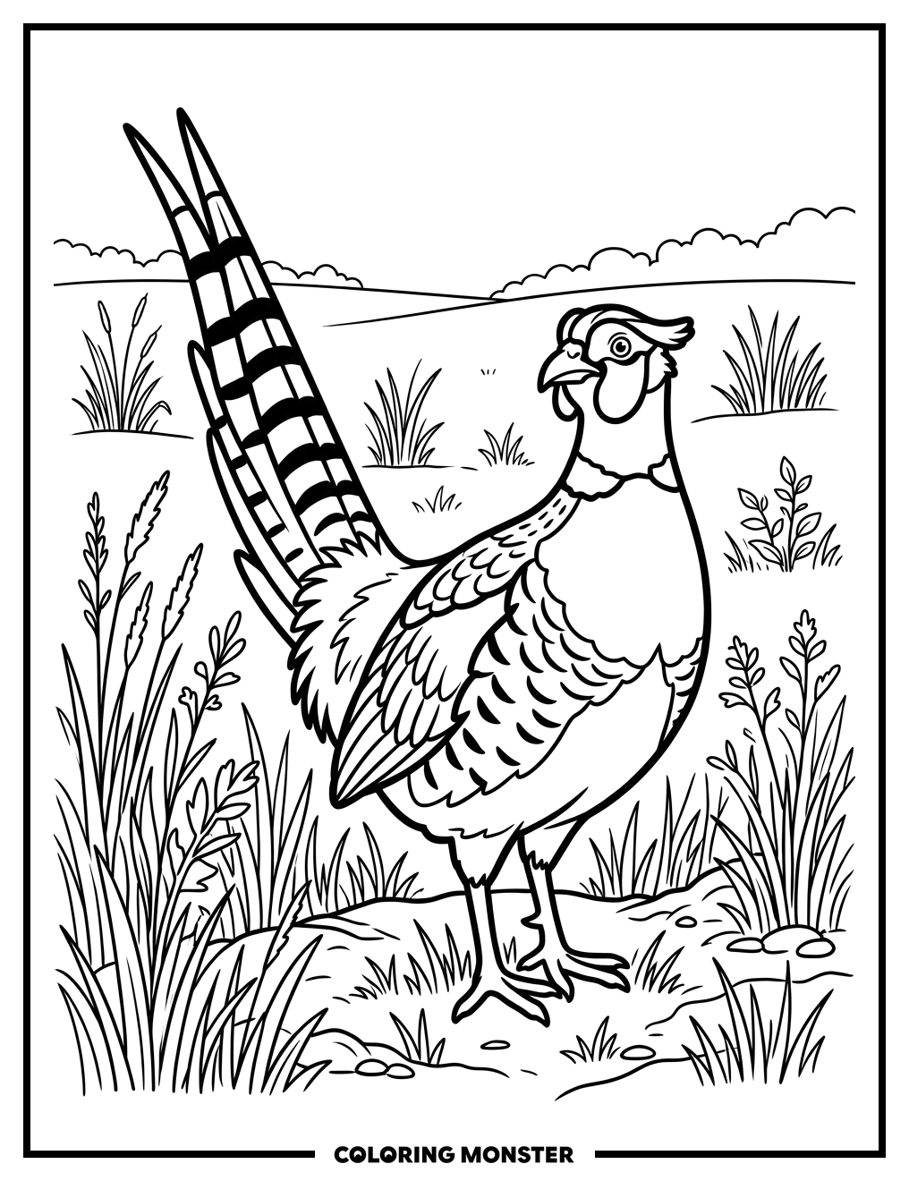 Pheasant in Grassy Field Coloring Page