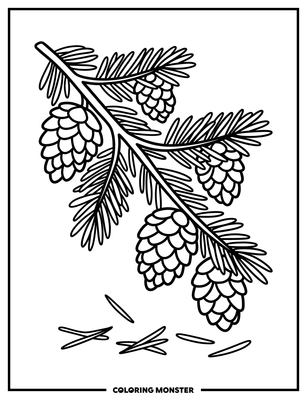Pine Cones on Branch Coloring Page