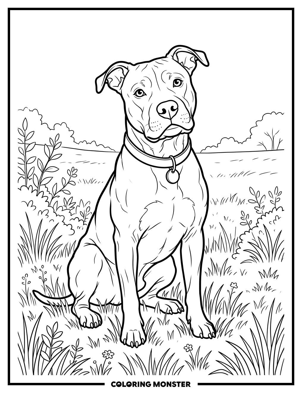 Pitbull Dog in Green Grass Coloring Page