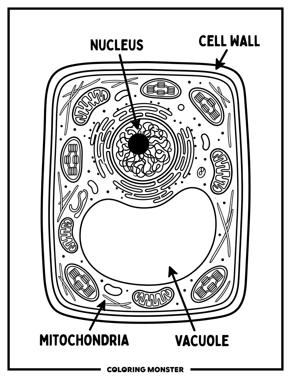 Plant Cell Diagram Coloring Page
