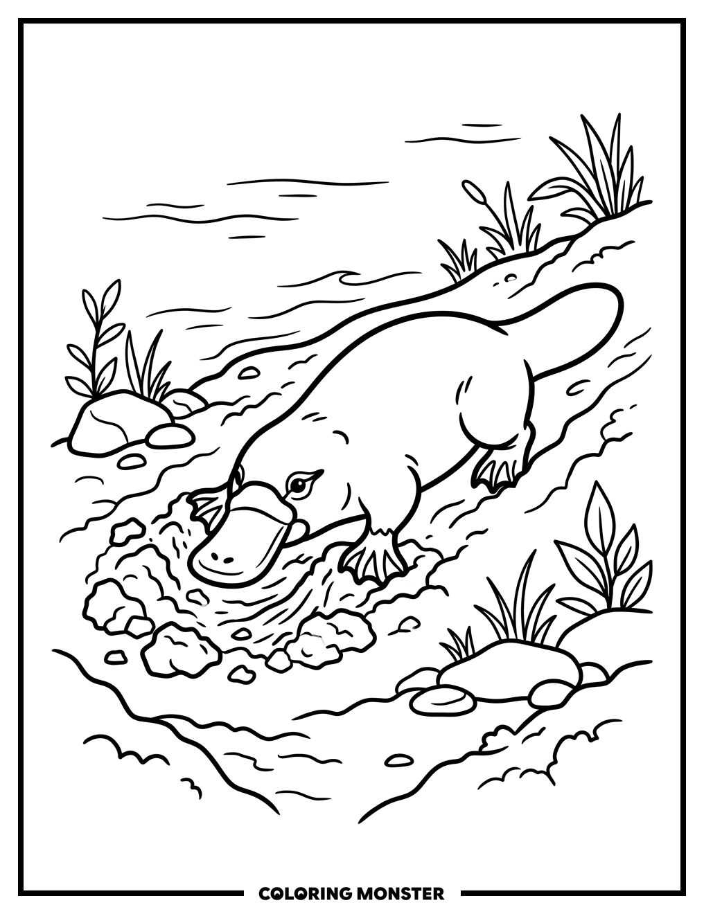 Platypus Digging By Riverbank Coloring Page