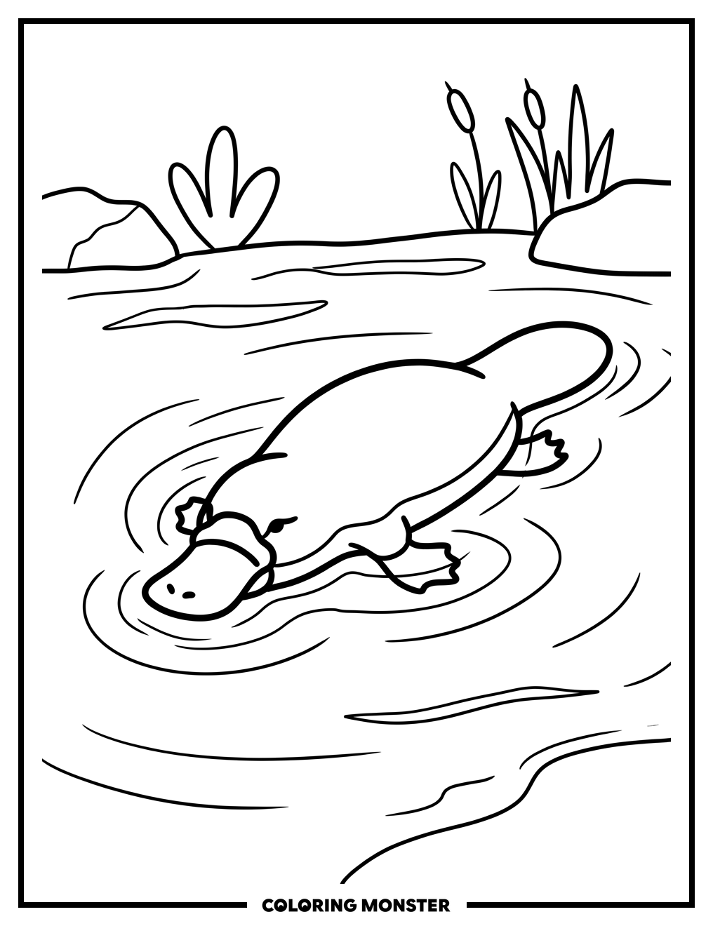 Platypus Paddling in River Coloring Page