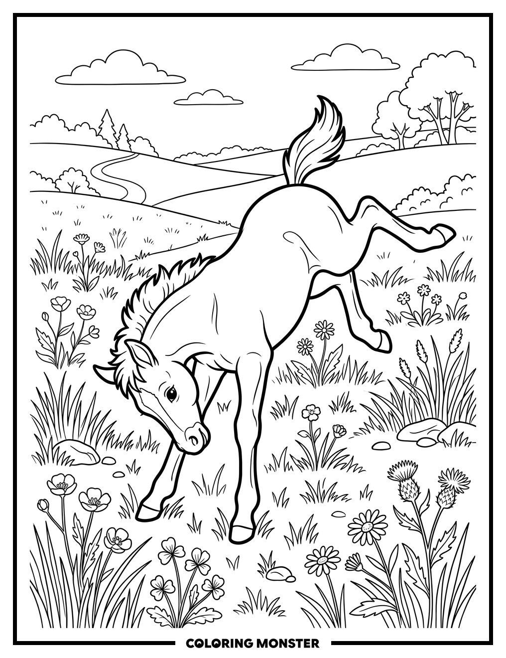 Playful Foal in Meadow Coloring Page