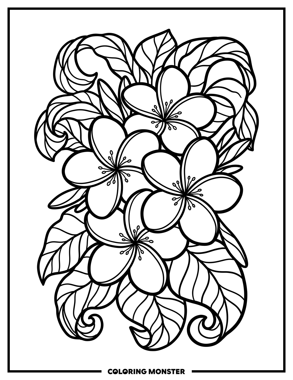 Plumeria Flower Cluster Coloring Page