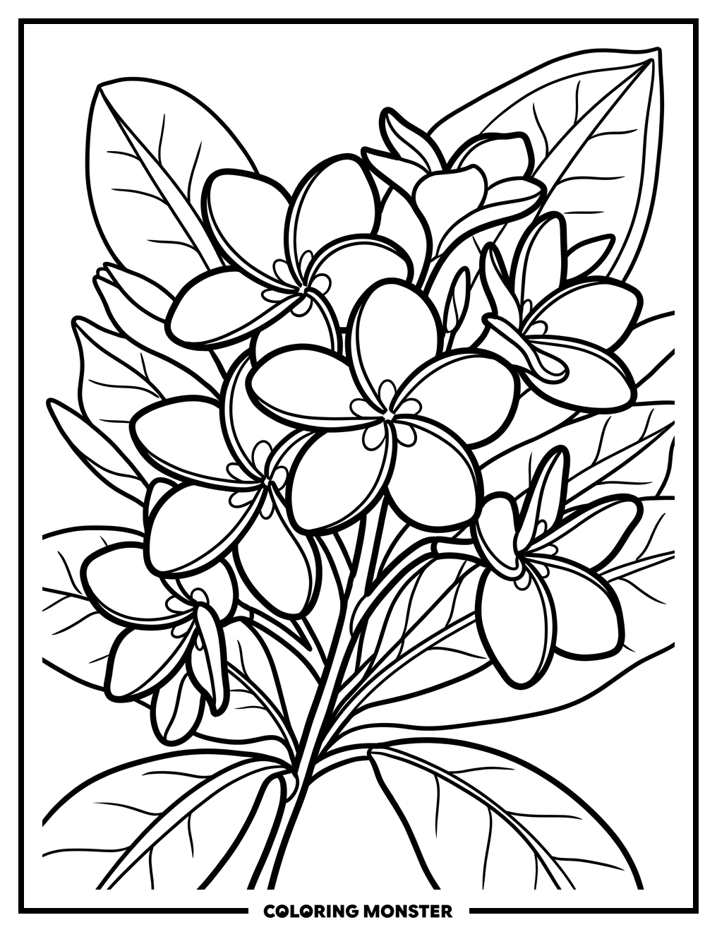 Plumeria Flowers on Leafy Stem Coloring Page