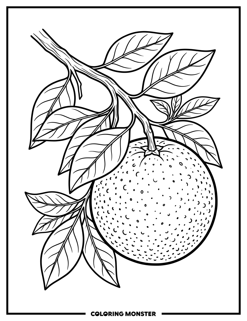Plump Orange Fruit on Branch Coloring Page