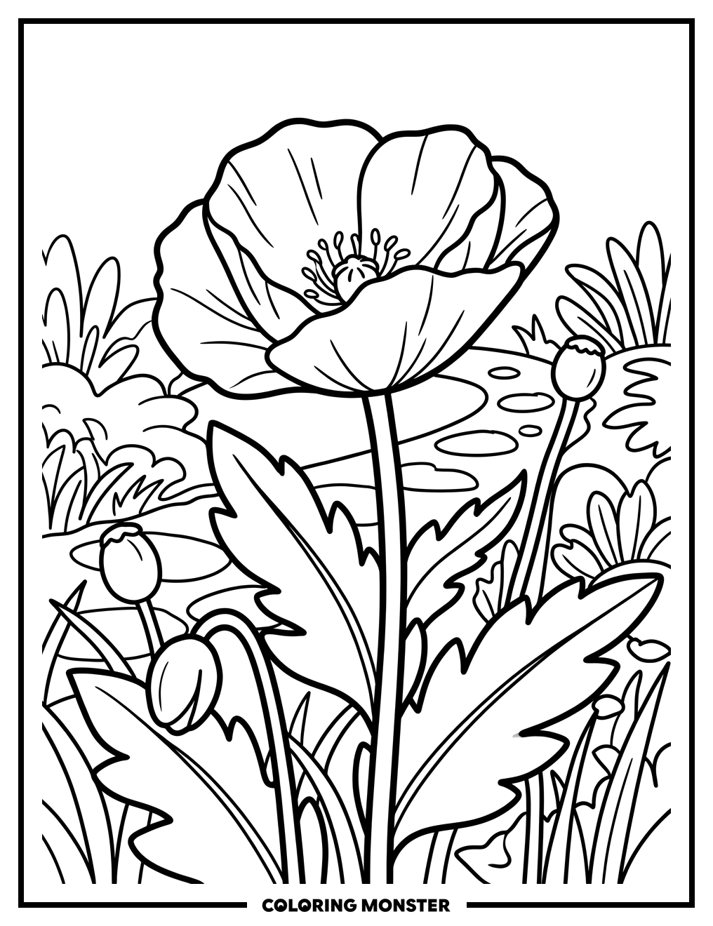 Poppy Flower in Garden Coloring Page