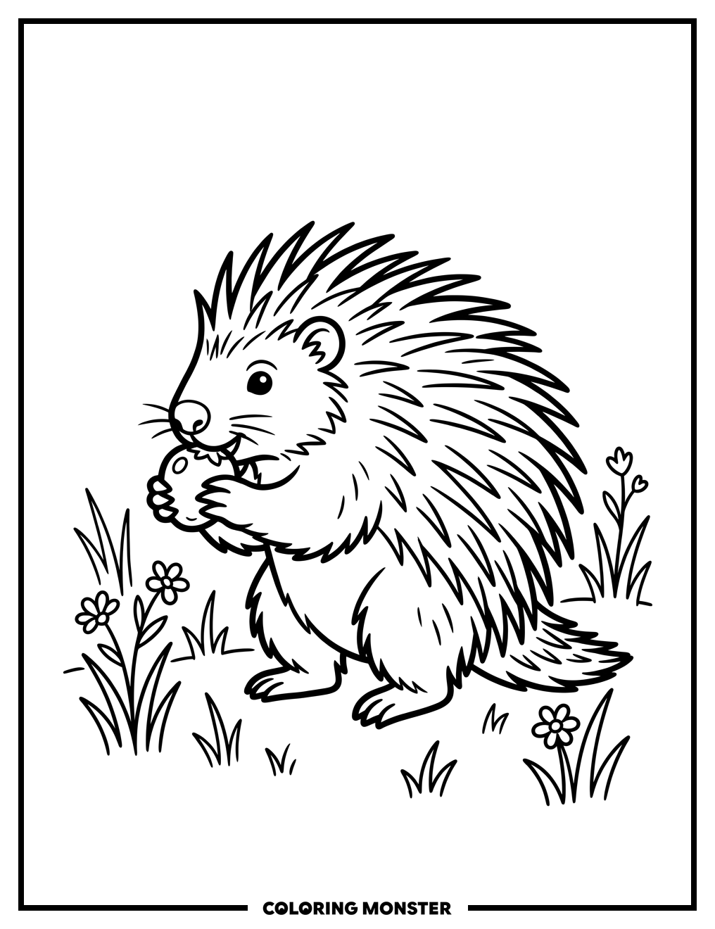 Porcupine Eating a Berry Coloring Page
