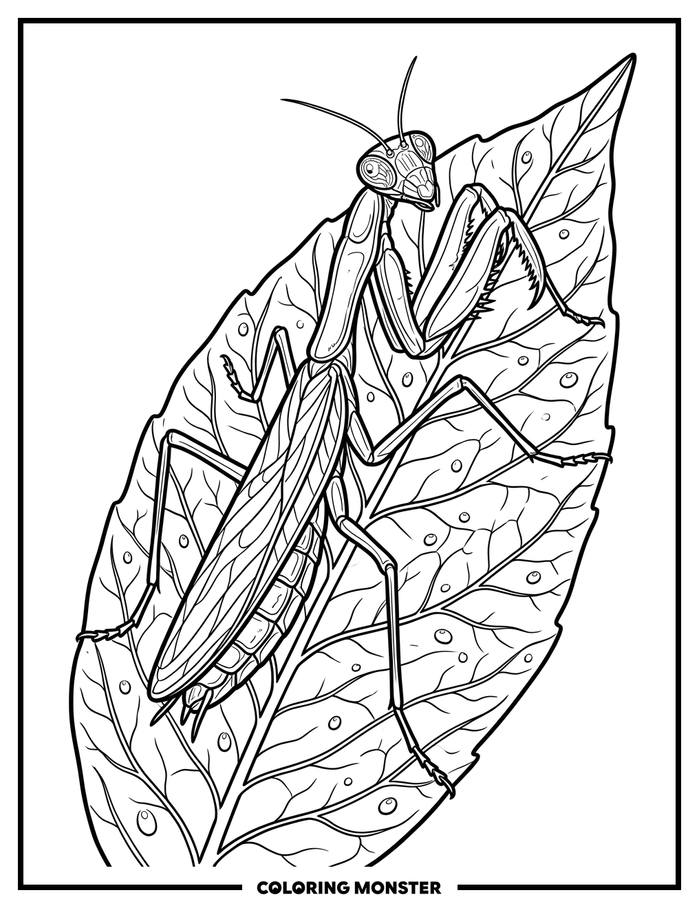 Praying Mantis on a Leaf Coloring Page