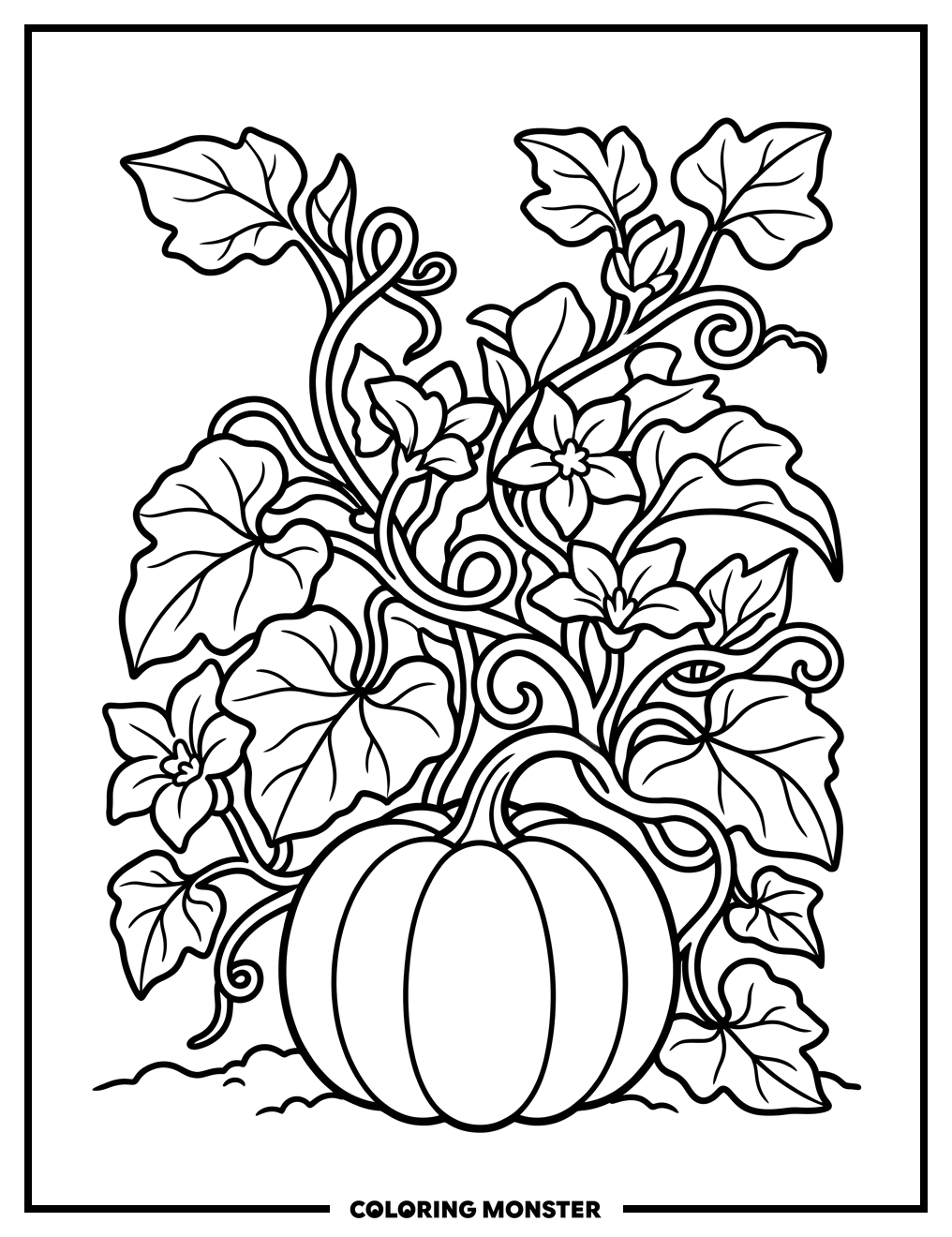 Pumpkin and Vine Coloring Page