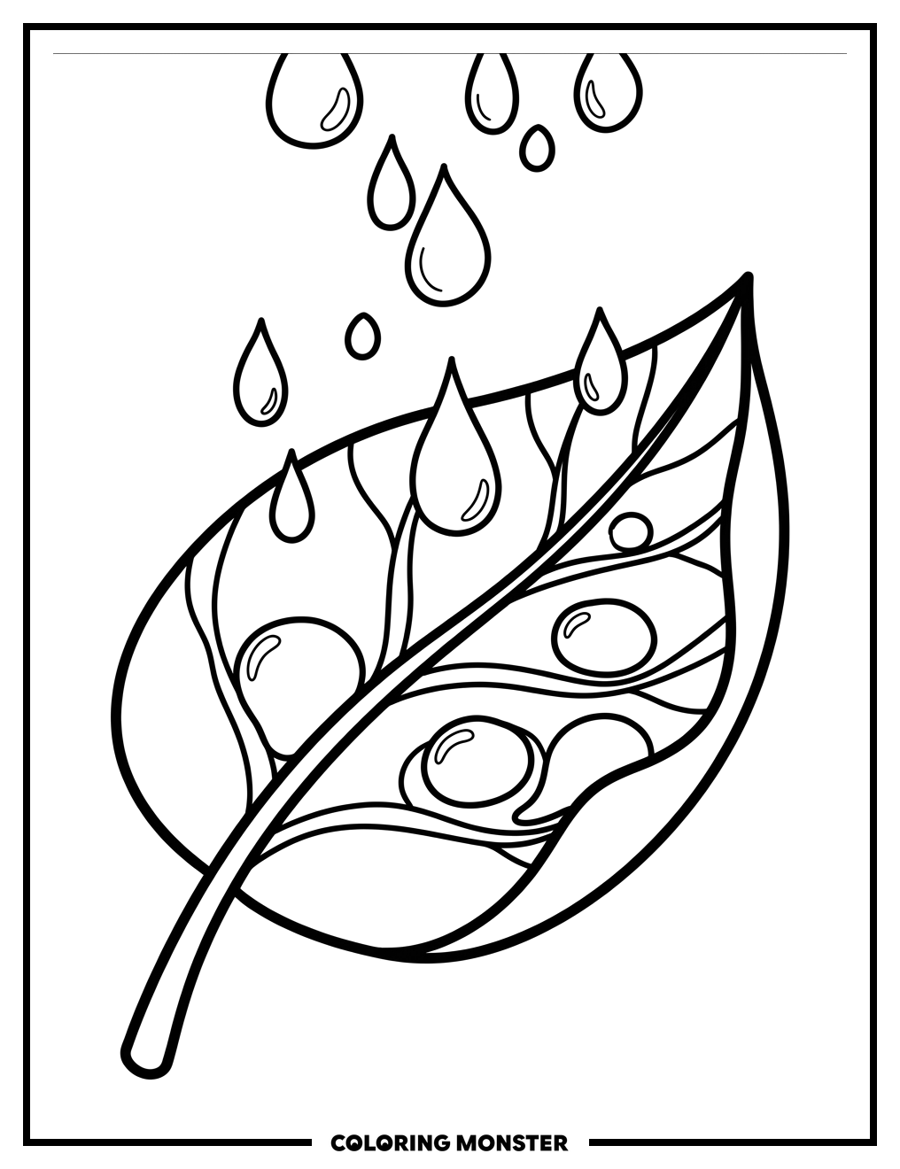 Raindrops on a Broad Leaf Coloring Page
