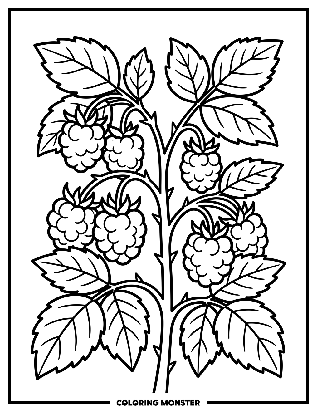 Raspberry Bush With Ripe Berries Coloring Page