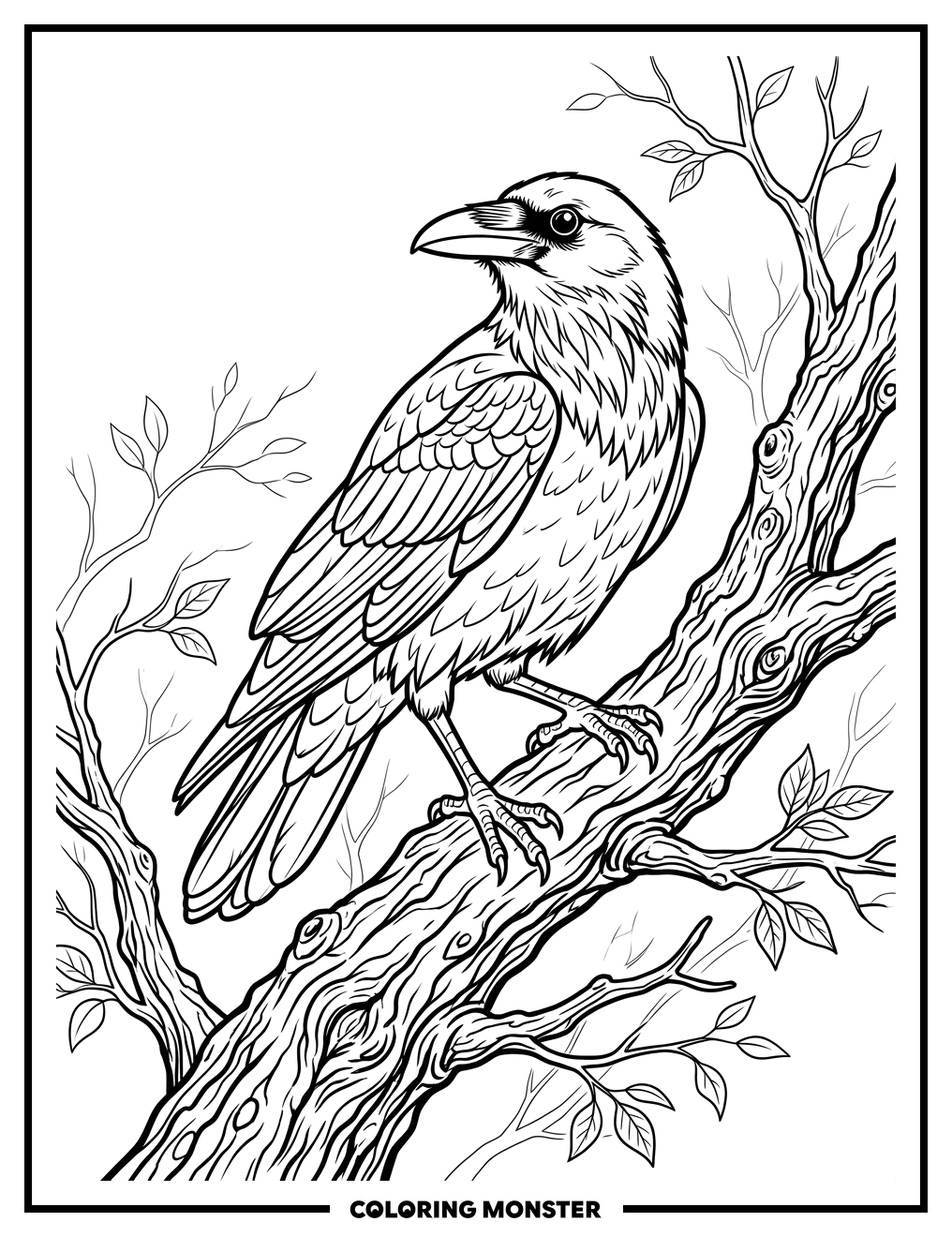Raven on a Gnarled Branch Coloring Page