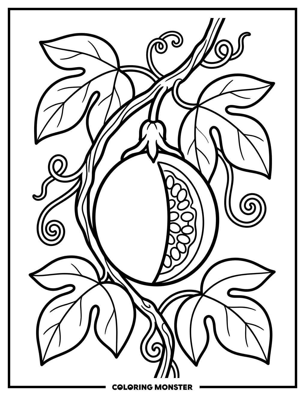 Ripe Passion Fruit on Vine Coloring Page