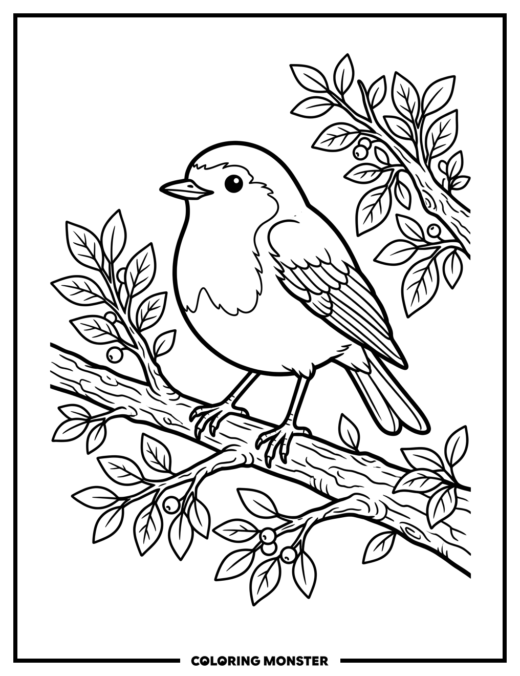 Robin Perched on a Branch Coloring Page