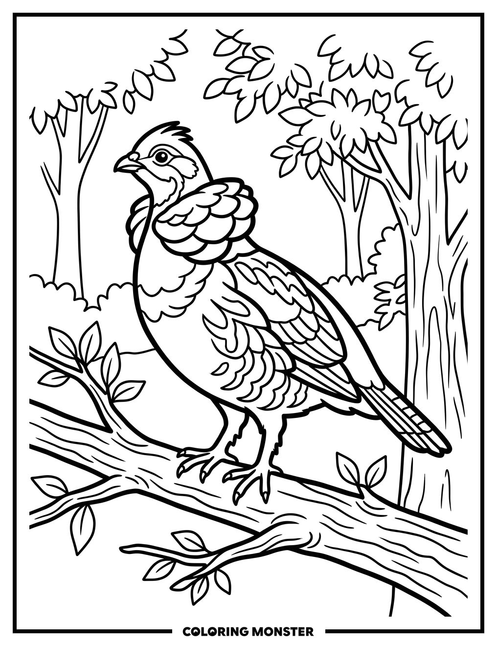 Ruffed Grouse on a Branch Coloring Page