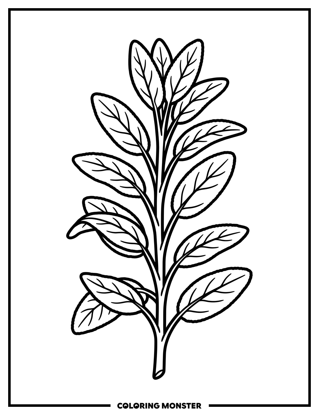 Sage Sprig Coloring Page