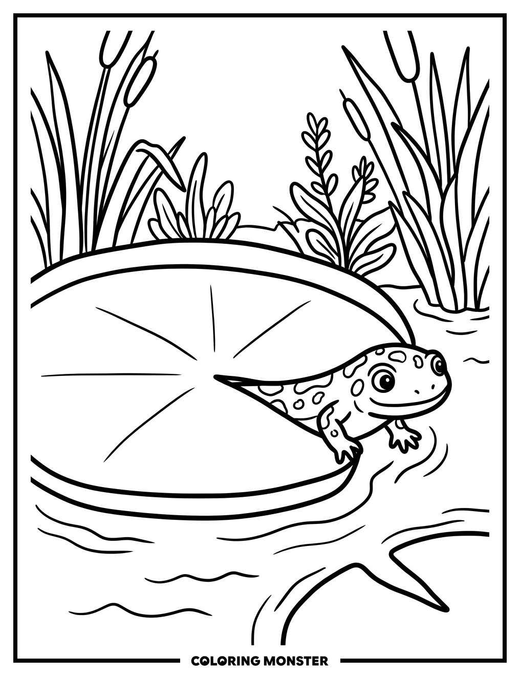 Salamander Behind Lily Pad Coloring Page