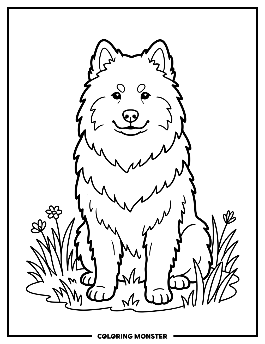Samoyed Dog in a Field Coloring Page