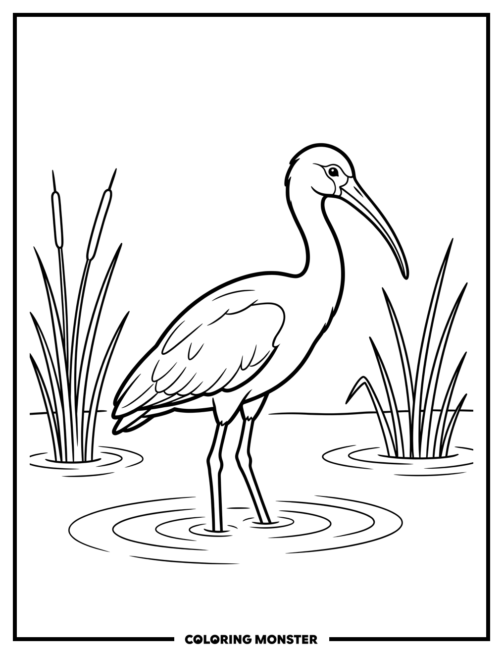 Scarlet Ibis in Water Coloring Page