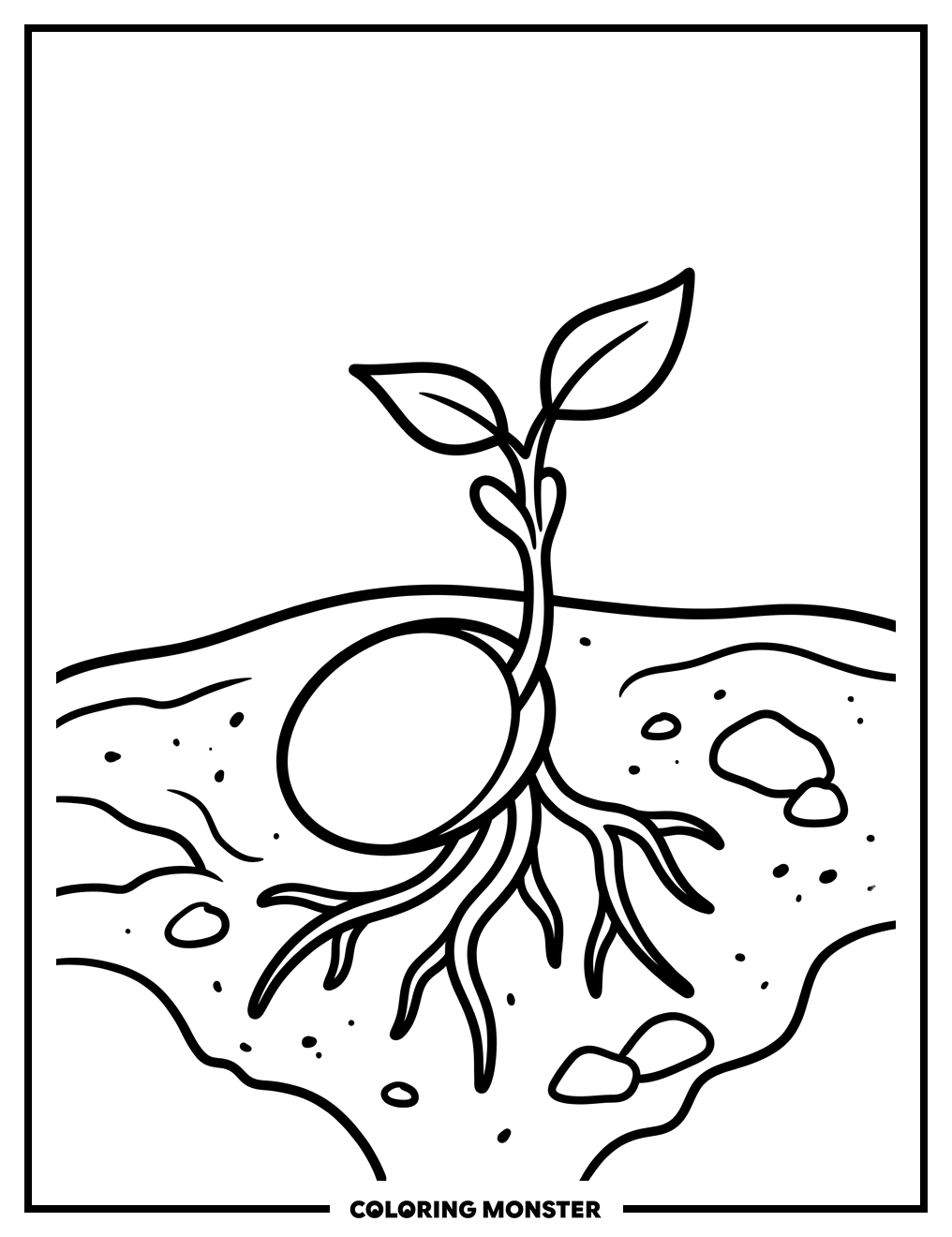 Seed Sprouting New Life Coloring Page