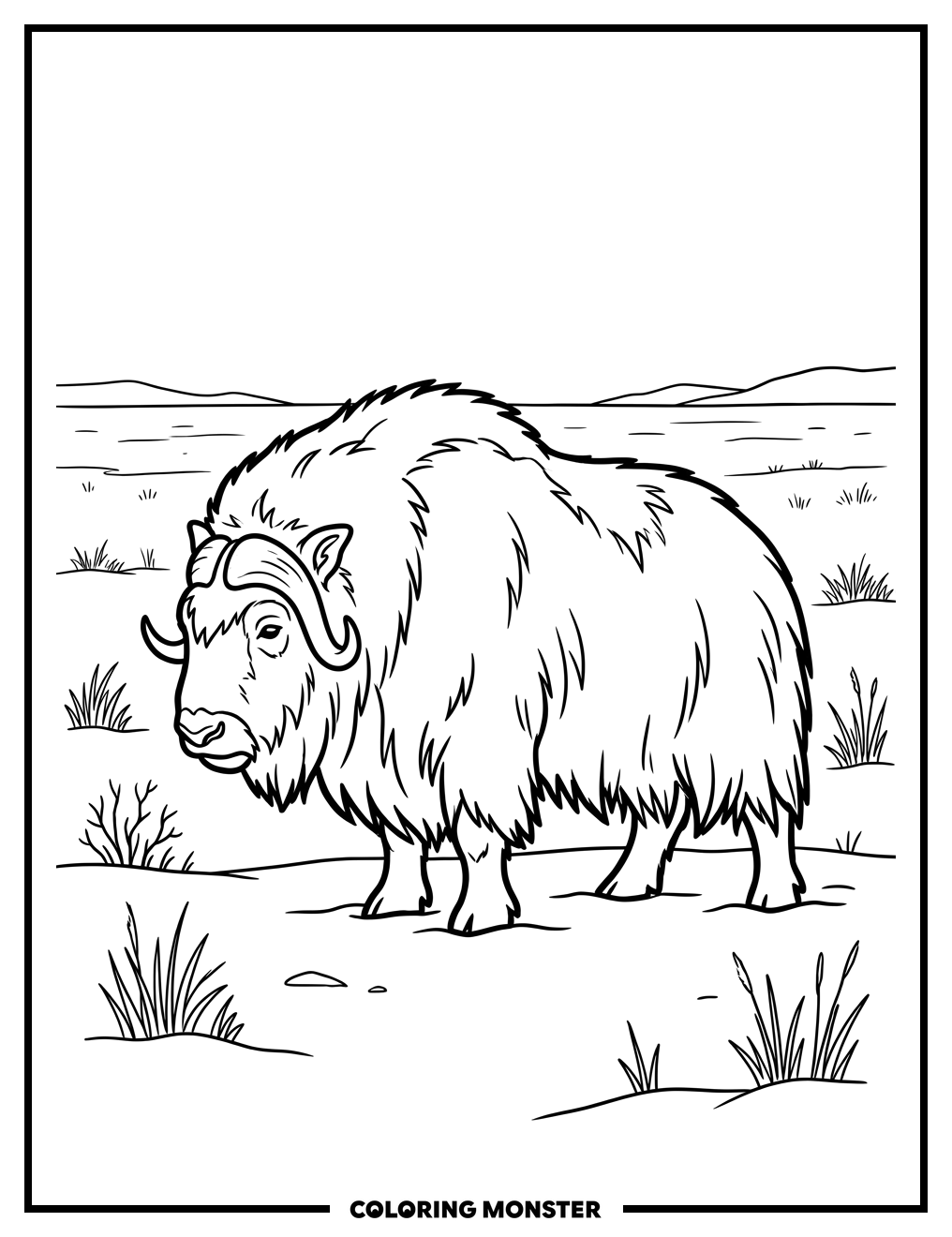 Shaggy Muskox in Snowy Field Coloring Page