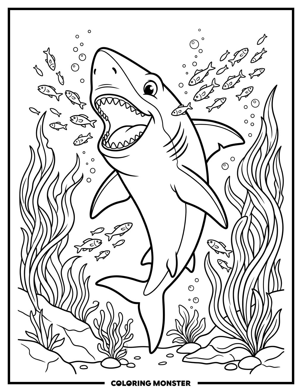 Shark Swimming Through The Ocean