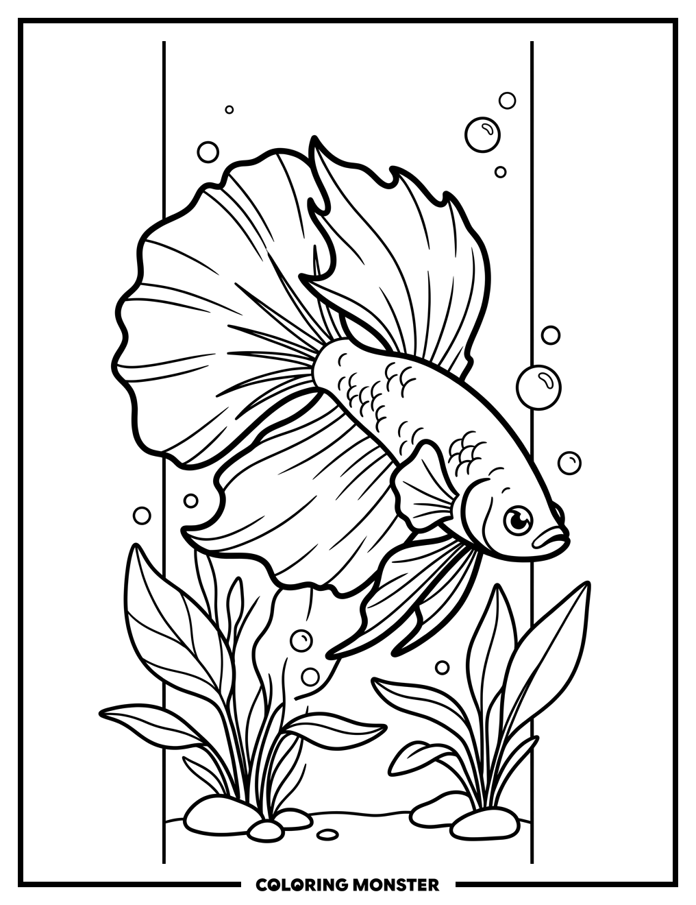 Siamese Fighting Fish Coloring Page
