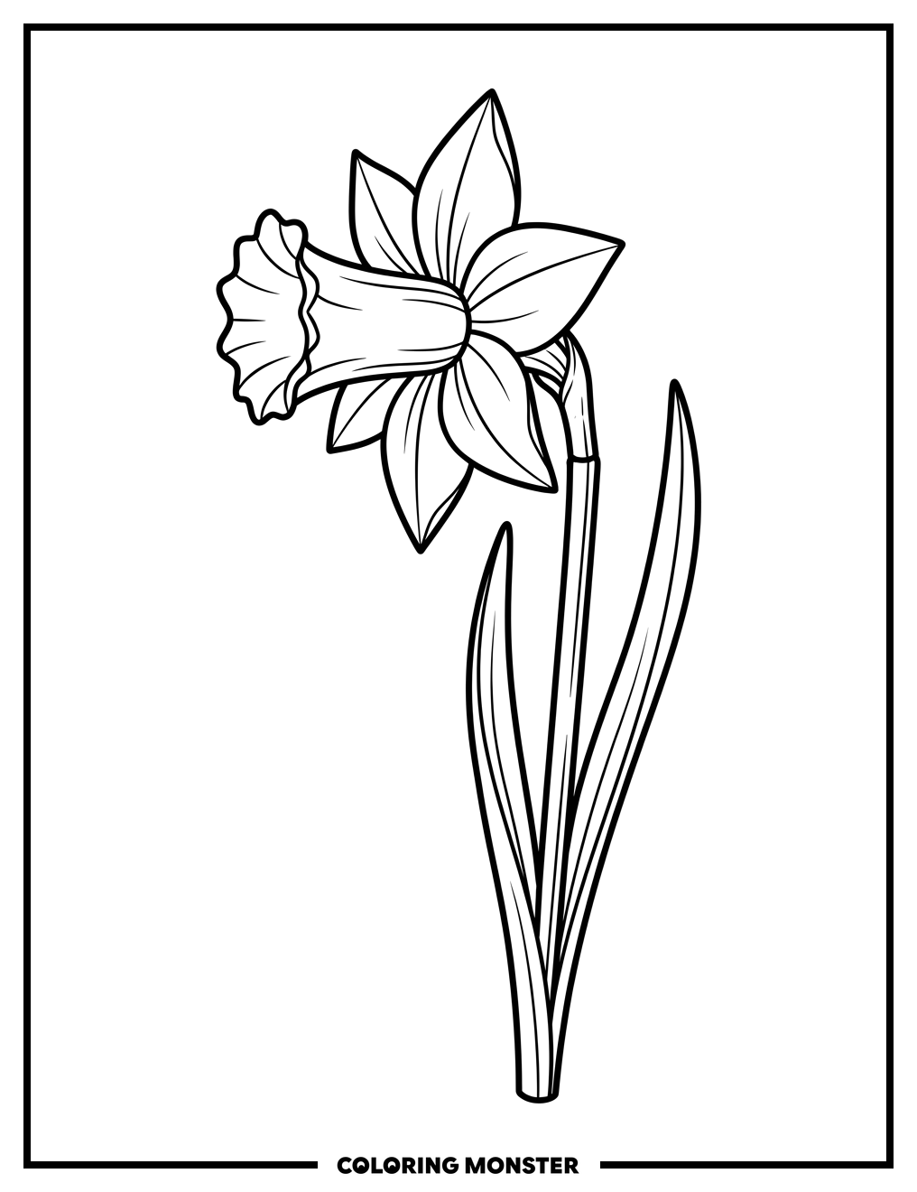 Single Daffodil Flower Coloring Page