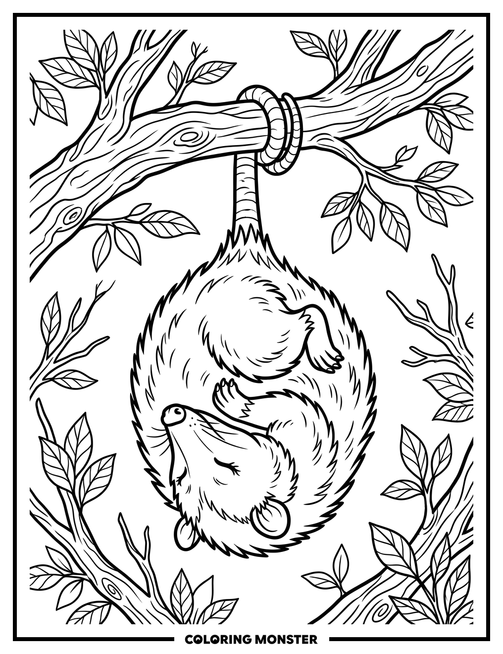 Sleeping Opossum Hanging From Branch Coloring Page