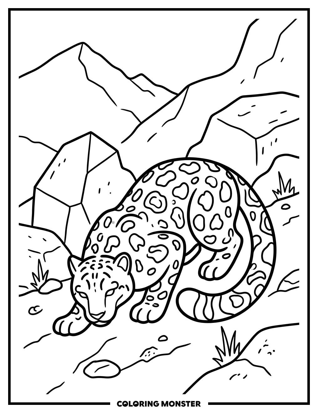 Snow Leopard on Rocky Mountain Coloring Page