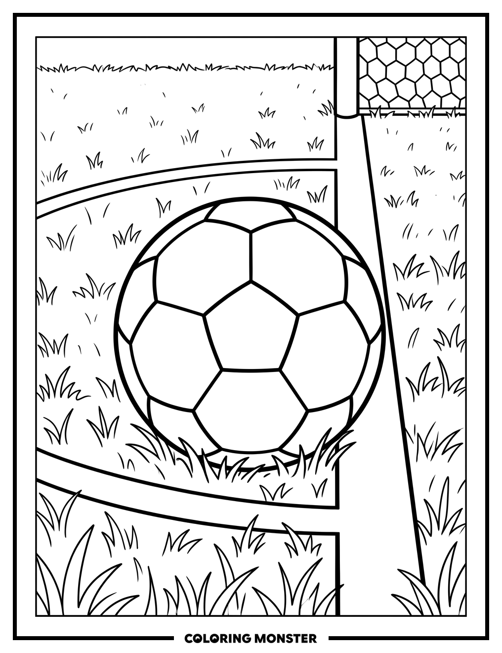 Soccer Ball on Field
