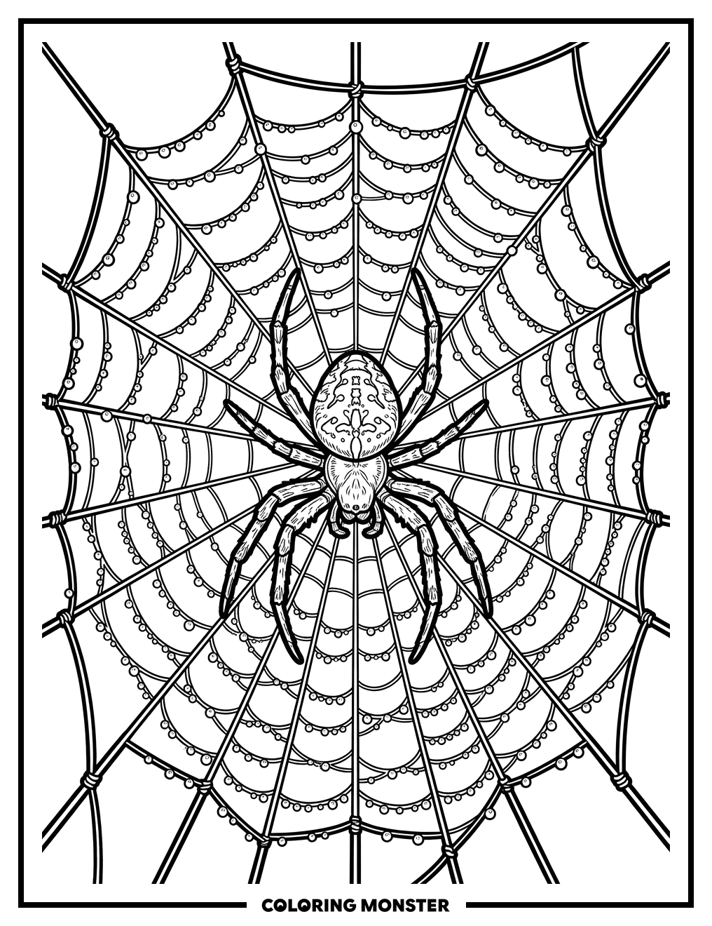 Spider in Its Dewy Web Coloring Page